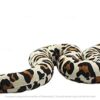 Tickles Hissing Cleo Snake Stuffed Soft Plush Animal Toy for Kids Room (Size: 55 cm Color: Cream) - Image 3